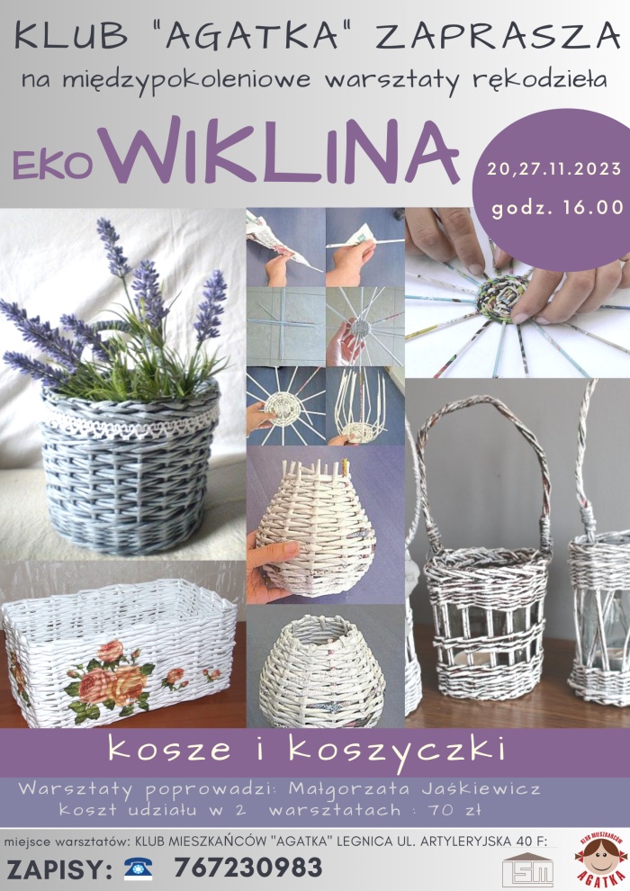 Ekowiklina