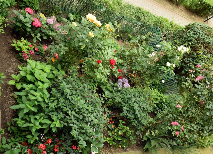 Osiedlowe wyspy zieleni